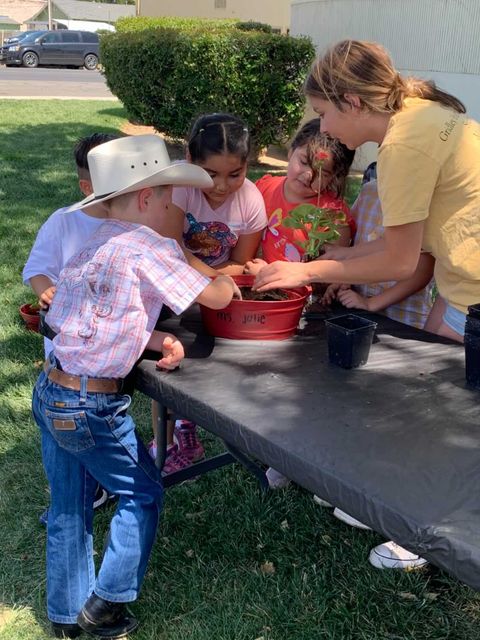 Planting seeds