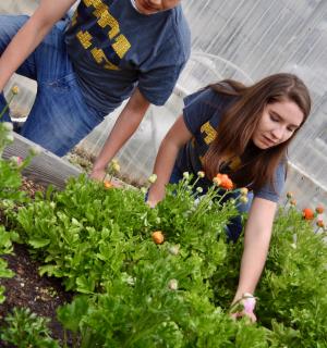 california agricultural education